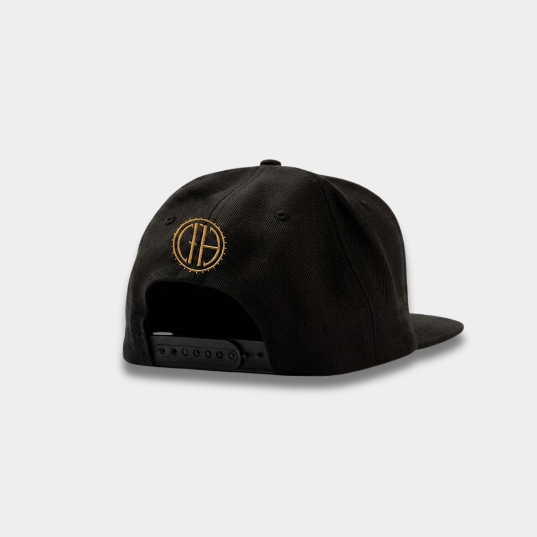 Boné Pantera Logo Aba Reta Preto